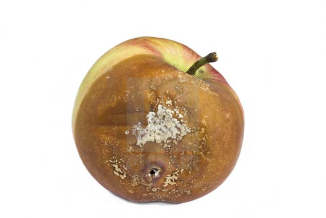 последствия приворота на яблоко